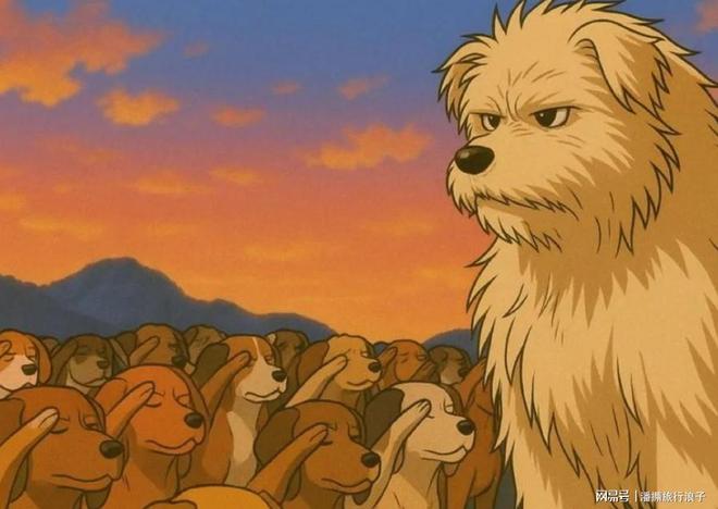 火！身价飙升至10万美元狗主人被扒冰球突破贵州下司犬“查理国王”爆(图4)