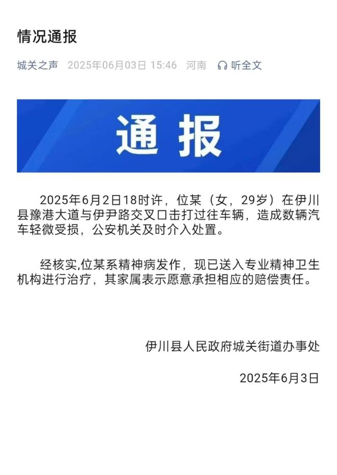 轿车通报：系精神病发作家属愿意承担赔偿冰球突破爆百万大奖女子持械当街打砸多辆(图2)
