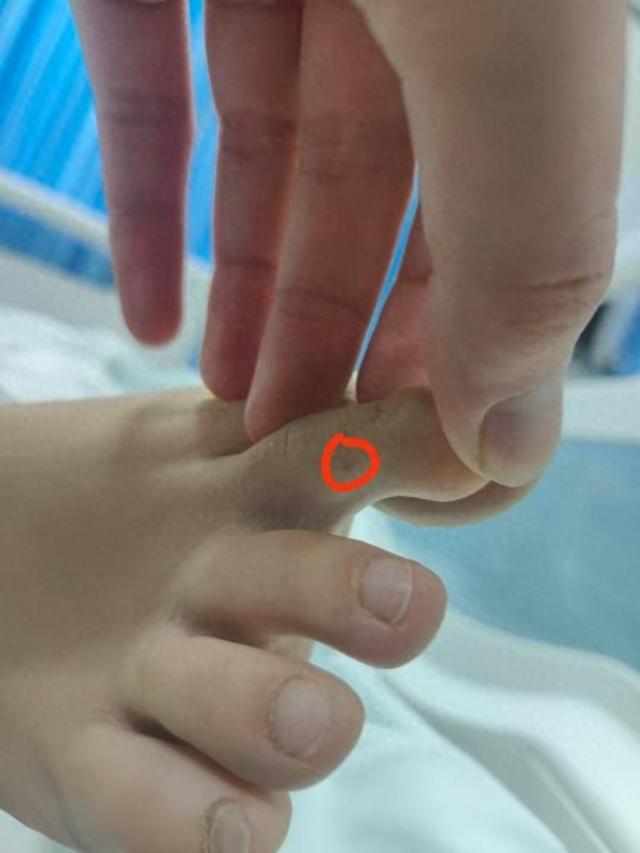 直播回应质疑：没提任何索赔只希望调查清楚冰球突破豪华版手机版三亚身亡女游客堂姐